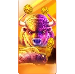 Buffalo
King